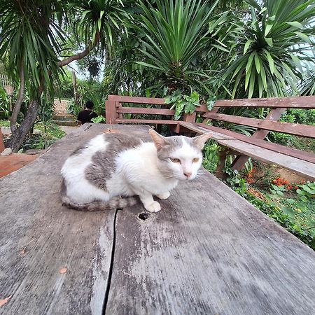 Отель The Lookout Пай Экстерьер фото